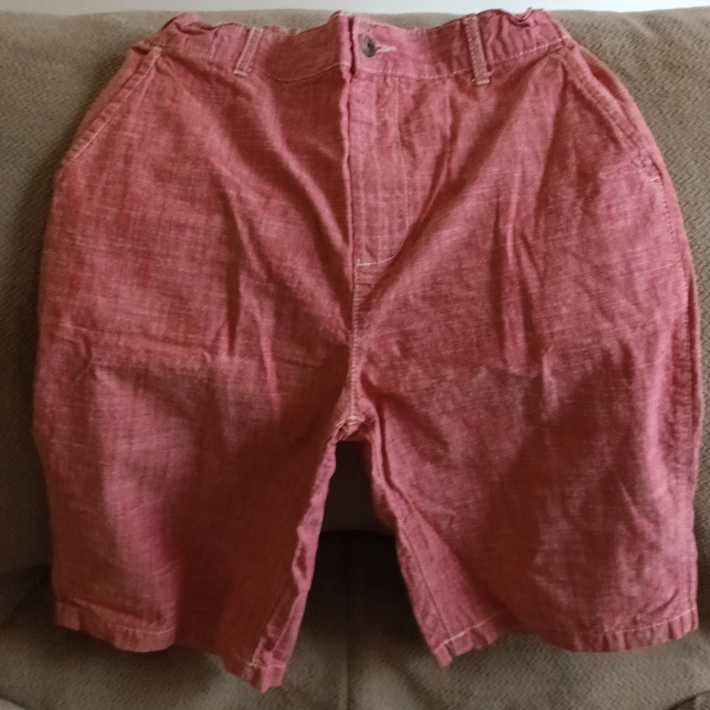 Place Boys Dark Pink Shorts Size 16